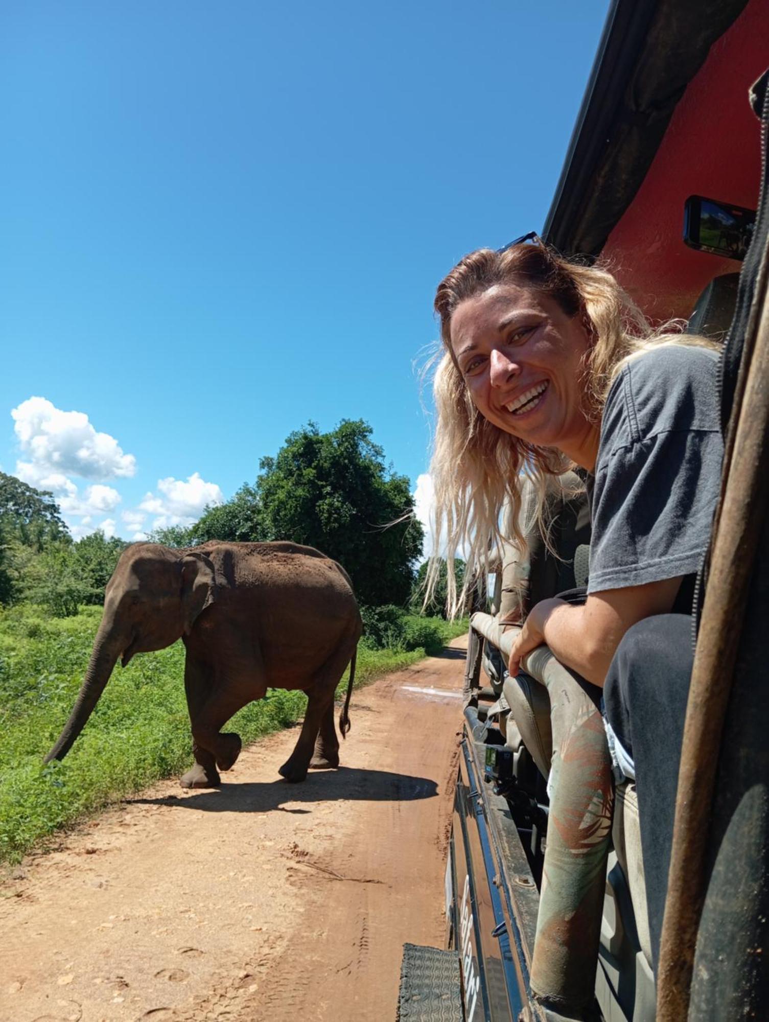 Tusker's Paradise Safari Villa Udawalawe Eksteriør billede
