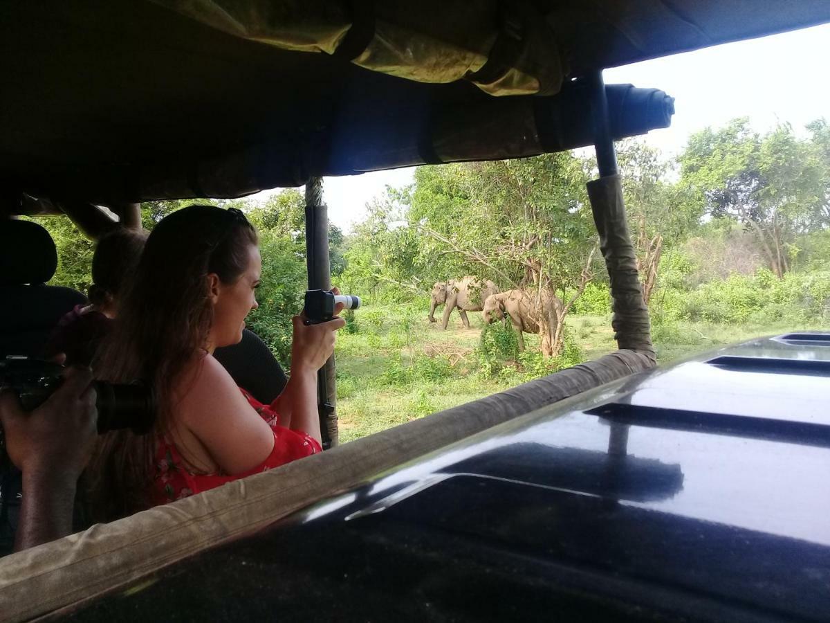 Tusker's Paradise Safari Villa Udawalawe Eksteriør billede