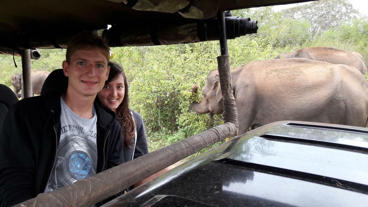 Tusker's Paradise Safari Villa Udawalawe Eksteriør billede