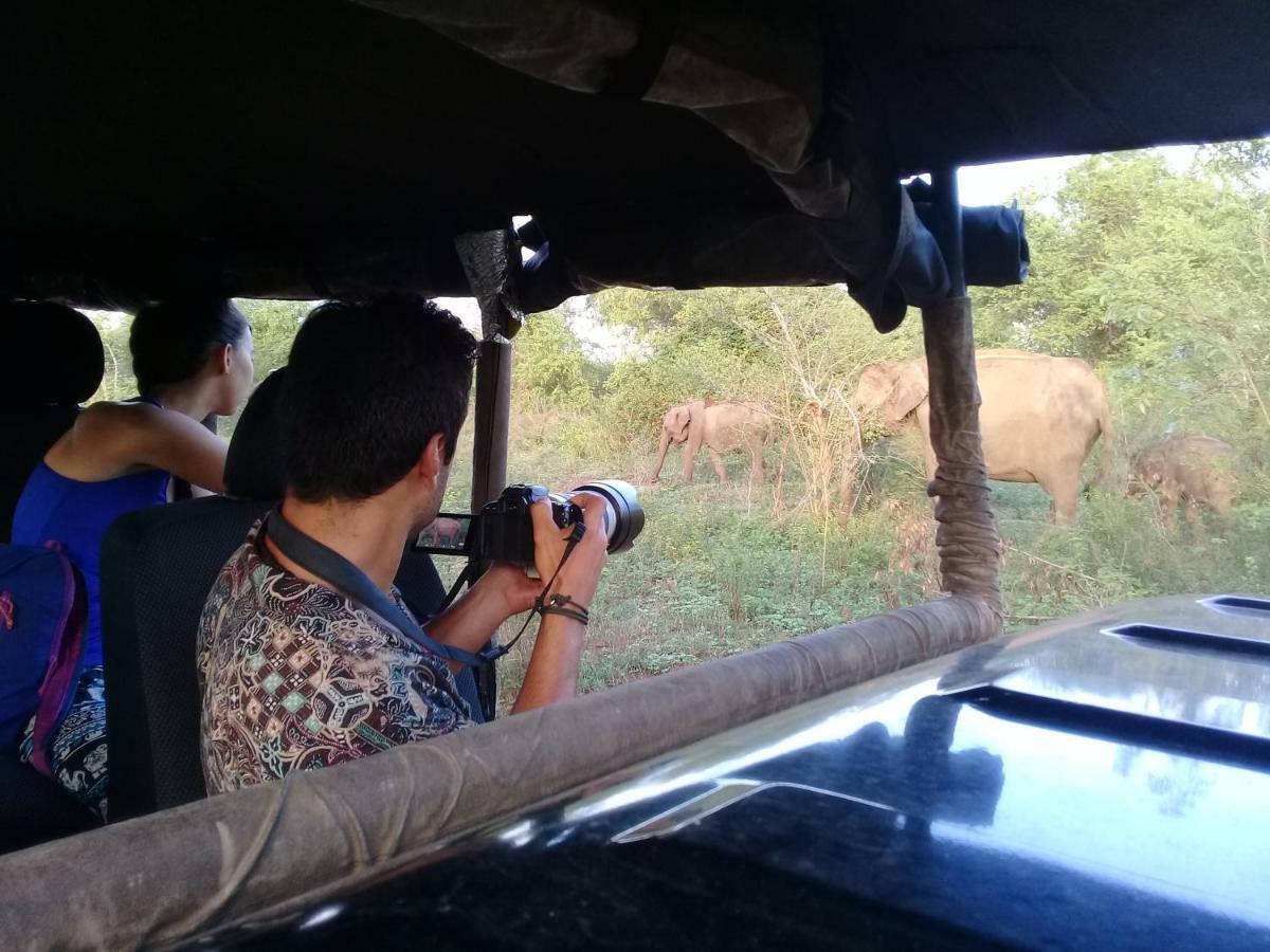Tusker's Paradise Safari Villa Udawalawe Eksteriør billede