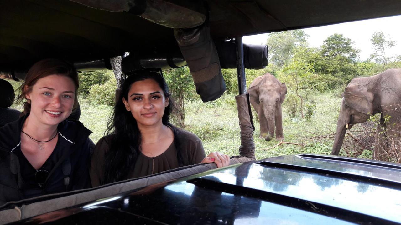Tusker's Paradise Safari Villa Udawalawe Eksteriør billede