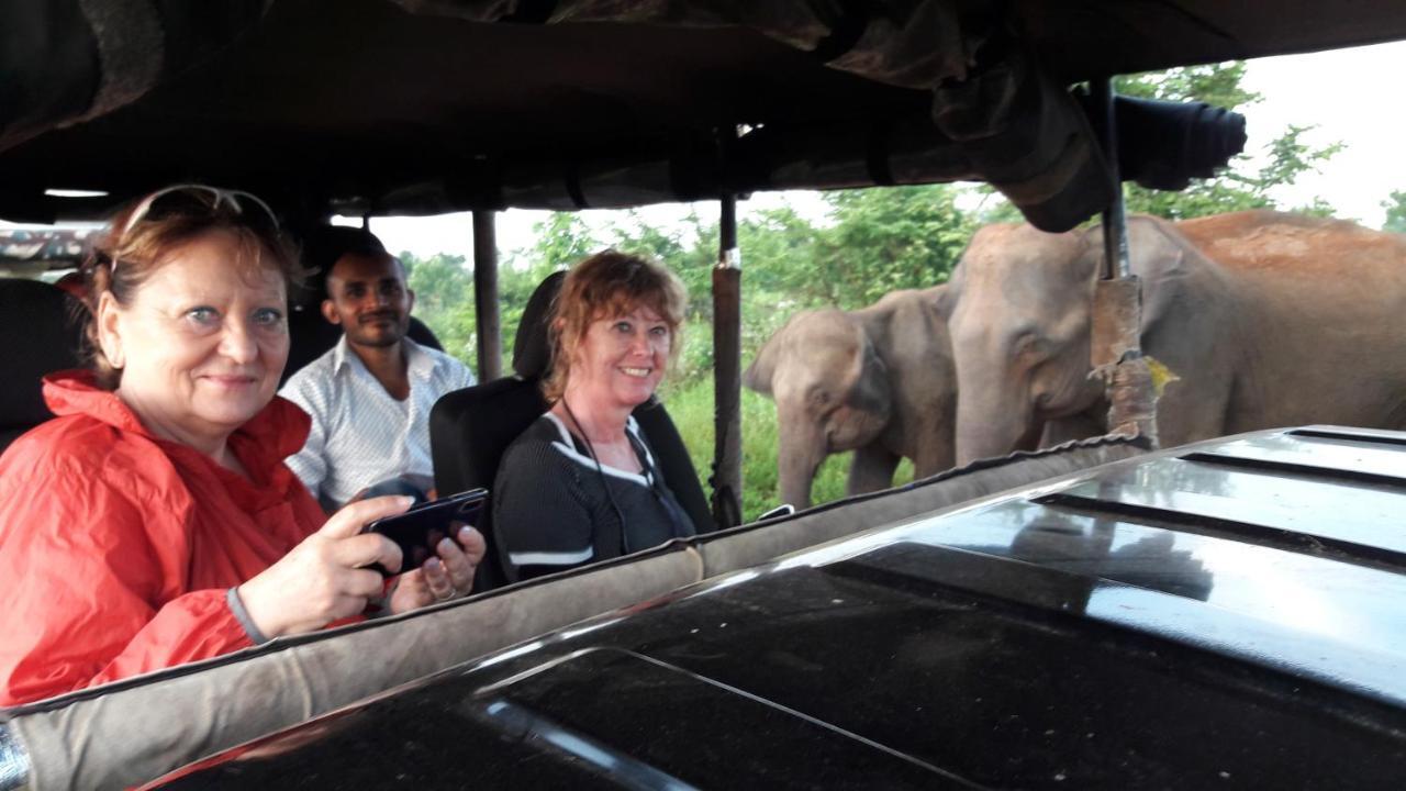 Tusker's Paradise Safari Villa Udawalawe Eksteriør billede