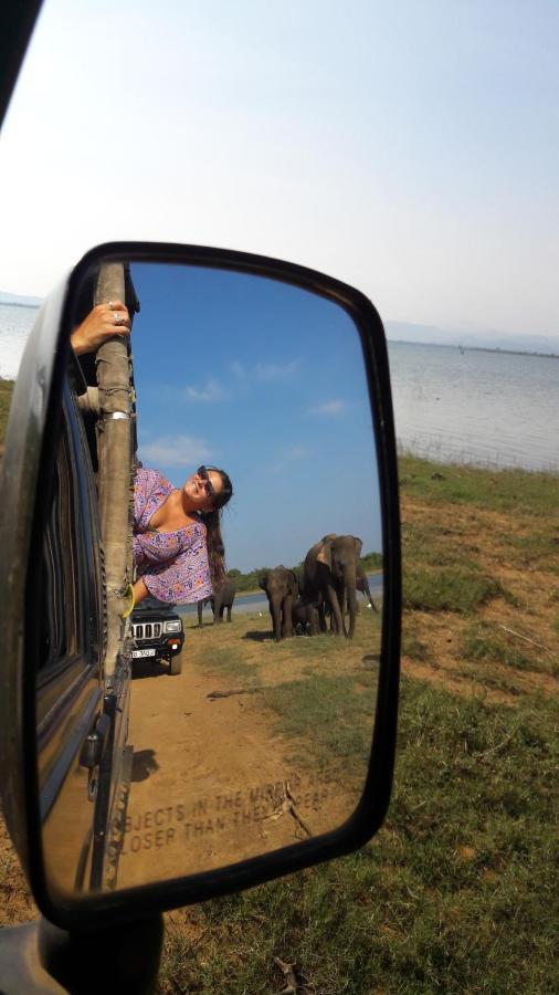 Tusker's Paradise Safari Villa Udawalawe Eksteriør billede